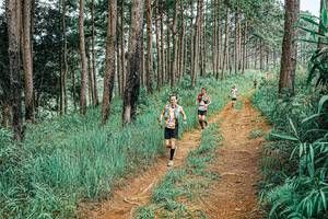 BIB: 
                            <button type="button" onclick="openModal(25681490)" class="btn btn-primary btn-sm float-right btn-popup" data-toggle="modal" data-target=".modal-high-quality">
                        <i class="fas fa-shopping-cart"></i> Add to Cart
                    </button>
                                            <button type="button" onclick="isThisMe(25681490, true)" class="btn btn-success btn-sm float-right btn-popup btn-isme hidden" data-toggle="tooltip" data-placement="bottom" title="นี่คือรูปของคุณใช่ไหม คลิกที่นี่เพื่อเอาเข้าอัลบั้ม">
                        <i class="fas fa-plus"></i> Add to album
                    </button>
                    <button type="button" onclick="isThisMe(25681490, false)" class="btn btn-warning btn-sm float-right btn-popup btn-isnotme hidden">
                        <i class="fas fa-ban"></i> Remove from album
                    </button>